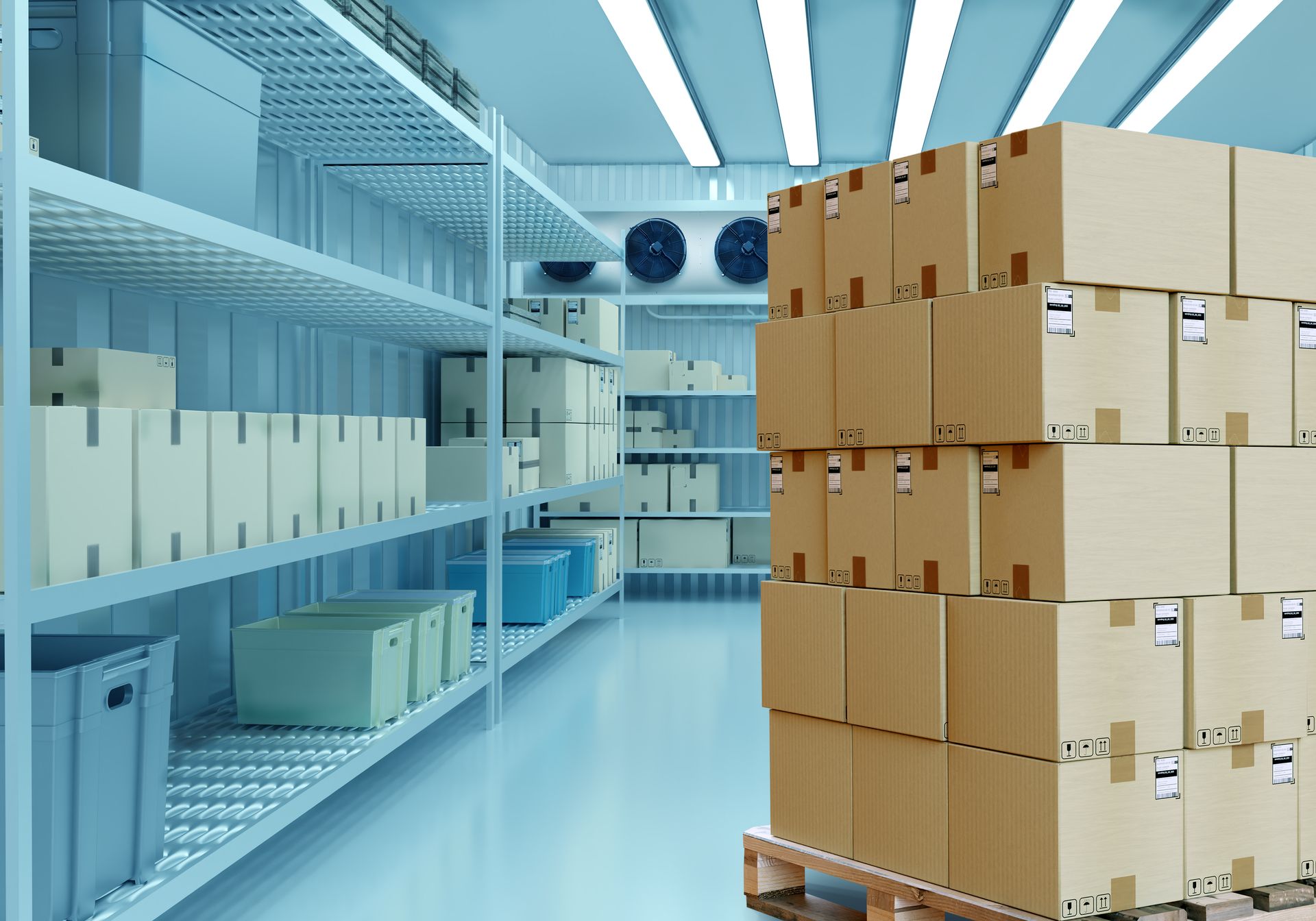Une chambre froide avec des cartons