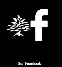 Vers page Facebook Logo Facebook