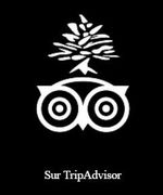 Logo Tripadvisor