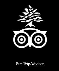 Vers Tripadvisor Logo Tripadvisor
