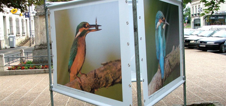 exposition itinérante sur mesure