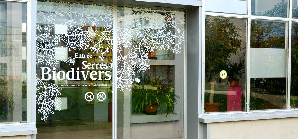 personnalisation vitrage