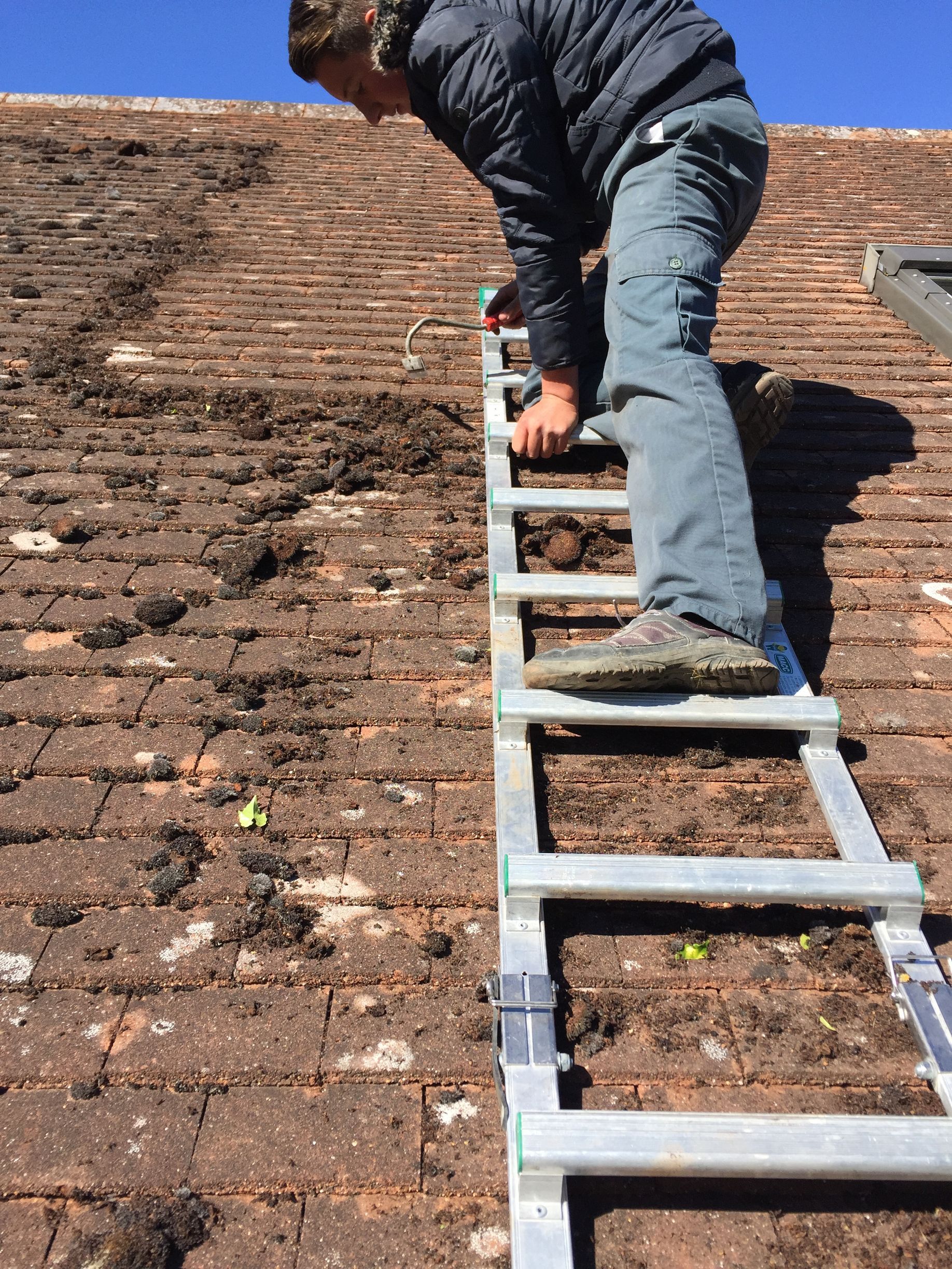 Couvreur grimpant sur un toit