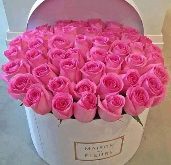 Una caja blanca llena de rosas rosadas está etiquetada como Maison Fleurs.