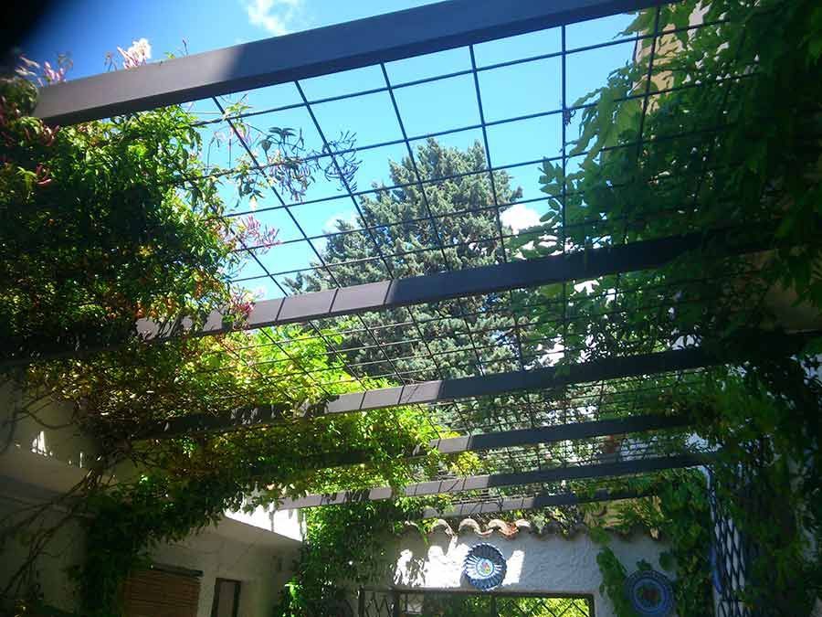Vista aérea de una pérgola con enredaderas contra un cielo azul brillante.