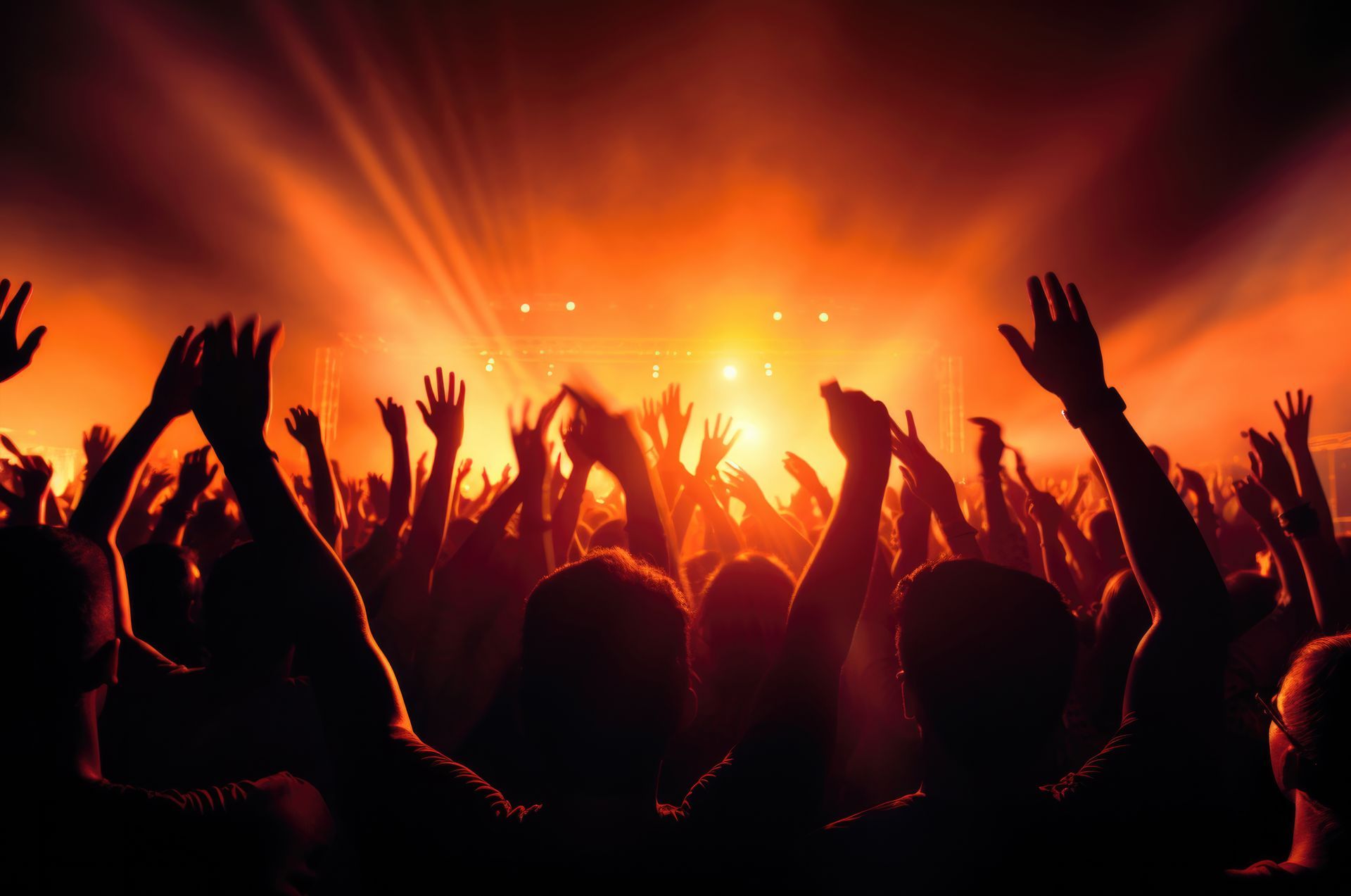 Gehörschutz Konzert