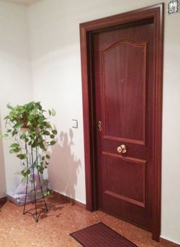Una puerta con una planta en una maceta al lado.