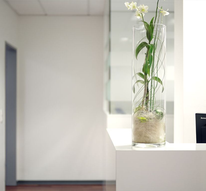 Gemeinschaftspraxis Rentfort in Gladbeck Hausarzt Praxis Pflanze