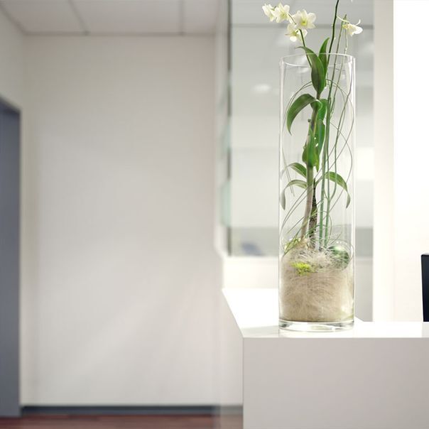 Gemeinschaftspraxis Rentfort in Gladbeck Hausarzt Praxis Pflanze