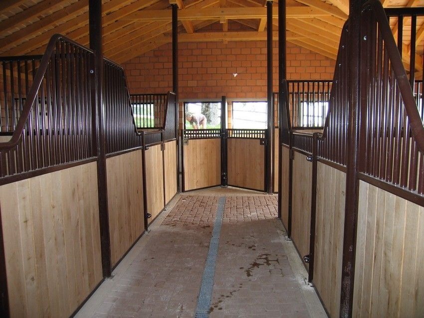 Perucchini SA - terrace cement