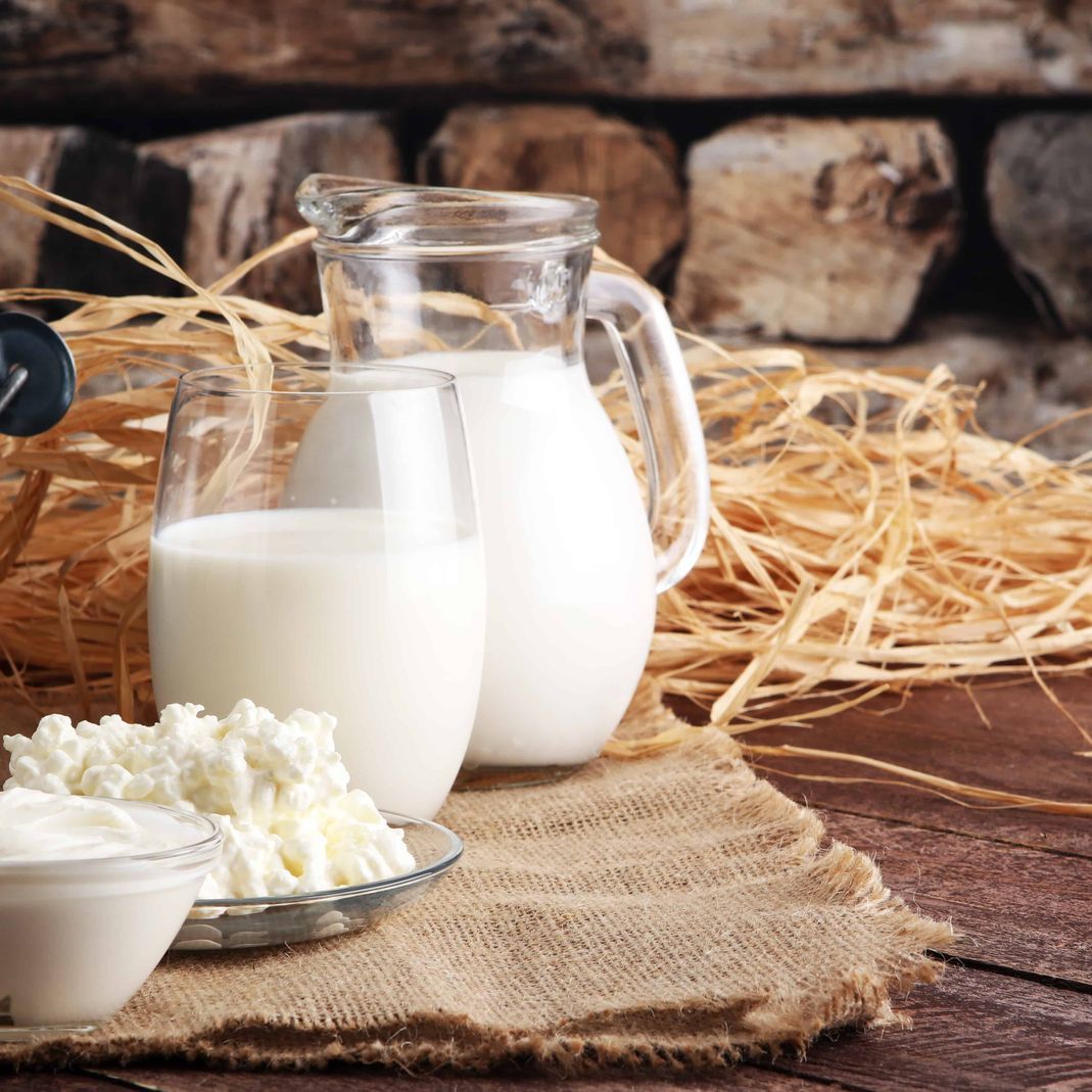 Fromagerie Vaucher - gruyère AOP et vacherin fribourgeois AOP – produits laitiers