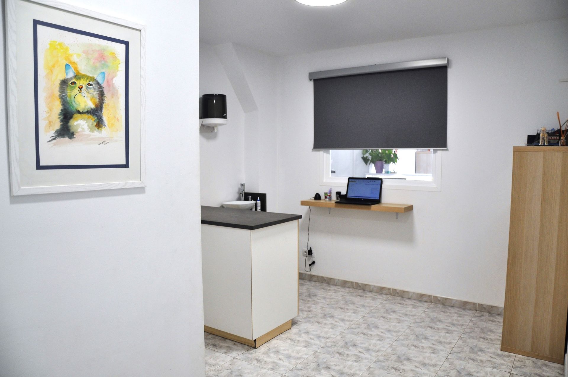 Un cuadro de un gato cuelga en una pared blanca fuera de una habitación clínica minimalista con una encimera y una persiana oscura.