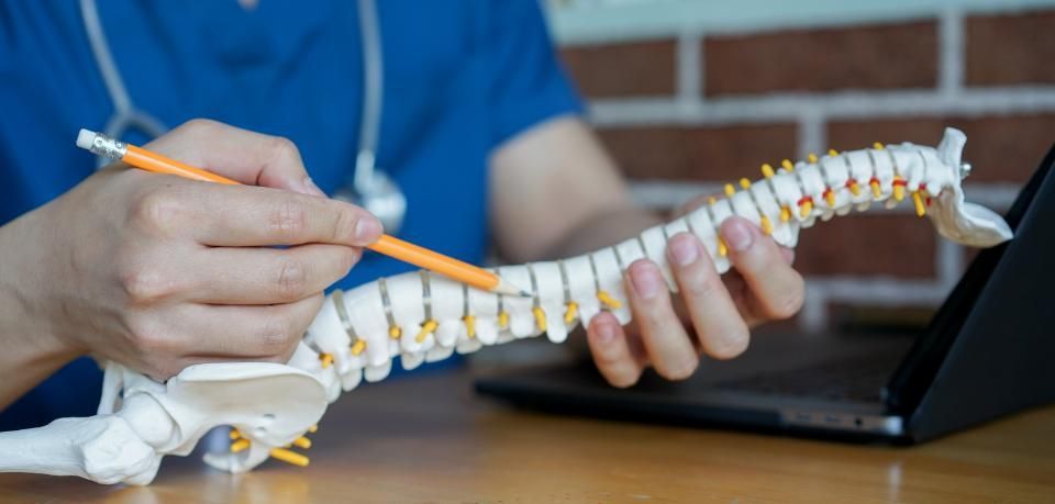 Physios - Ihre Physiotherapeuten - Physiotherapeut mit Stift und Modellwirbelsäule demonstriert Wirbelsäulenprobleme