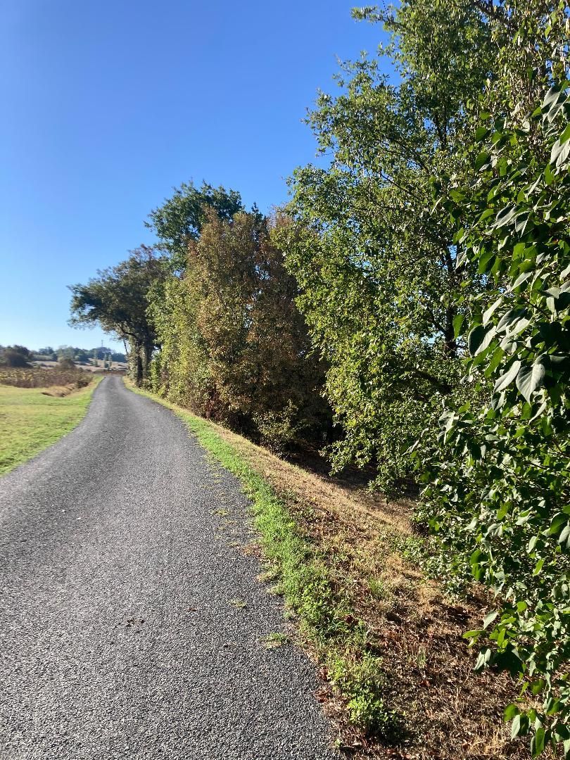 Chemin de gravier bordé de haies vertes sous un ciel bleu azur par une journée ensoleillée.