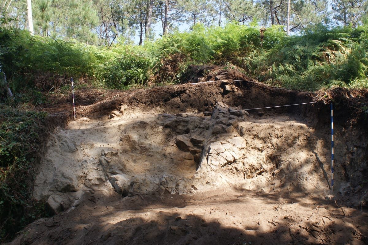 Castro de Gondar (Catoira, Pontevedra) Terreno escarpado y erosionado en una zona boscosa, con suelo y árboles expuestos en la parte superior.