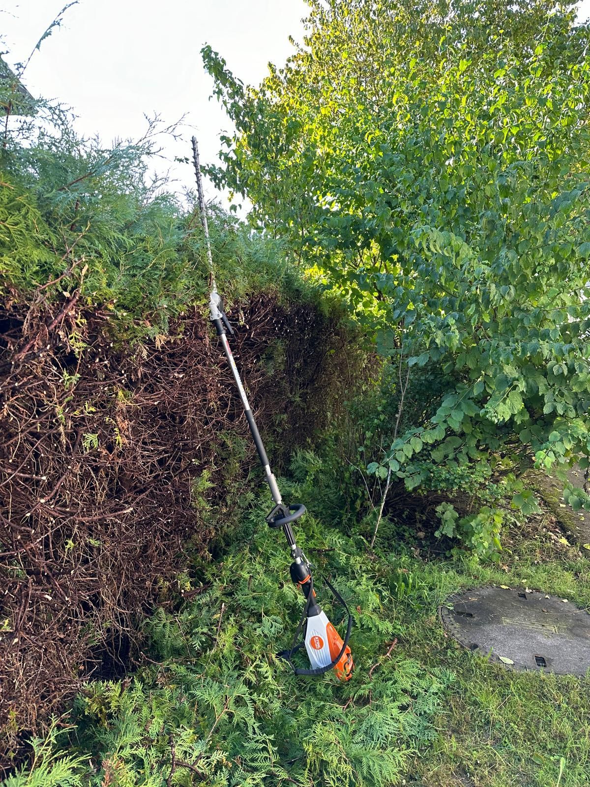 Eine Person schneidet in einem Garten mit einem Trimmer einen Busch.