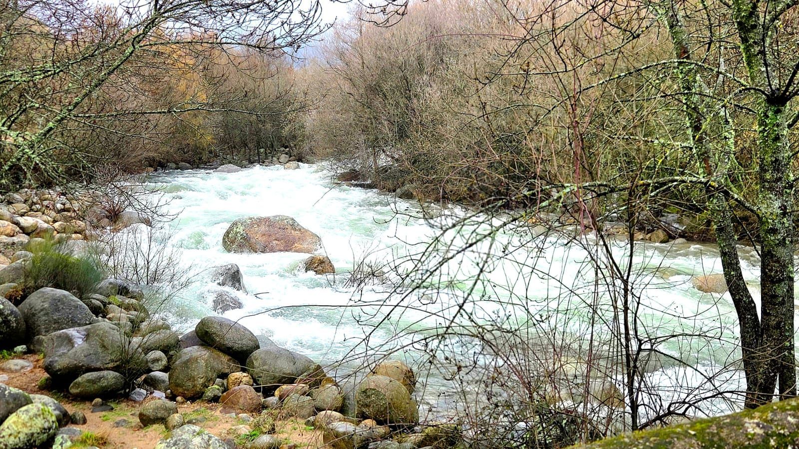 Un río de aguas claras y corriente rápida serpentea a través de un paisaje rocoso y arbolado
