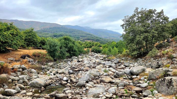 El lecho rocoso y seco de un arroyo serpentea a través de un paisaje verde y exuberante hacia montañas 
