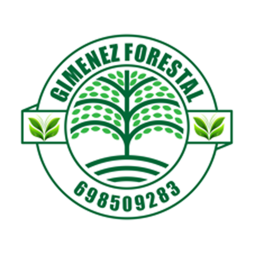 logotipo cabecera