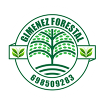 logotipo cabecera
