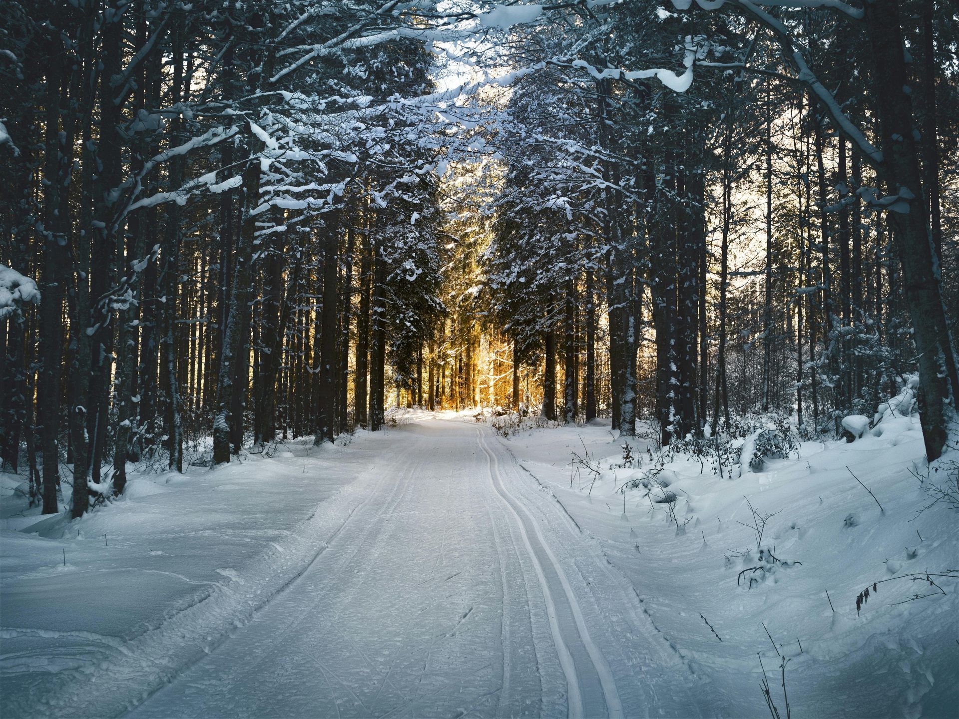Verschneiter Waldweg mit Spuren, die zum durch die Bäume gefilterten Sonnenlicht führen.