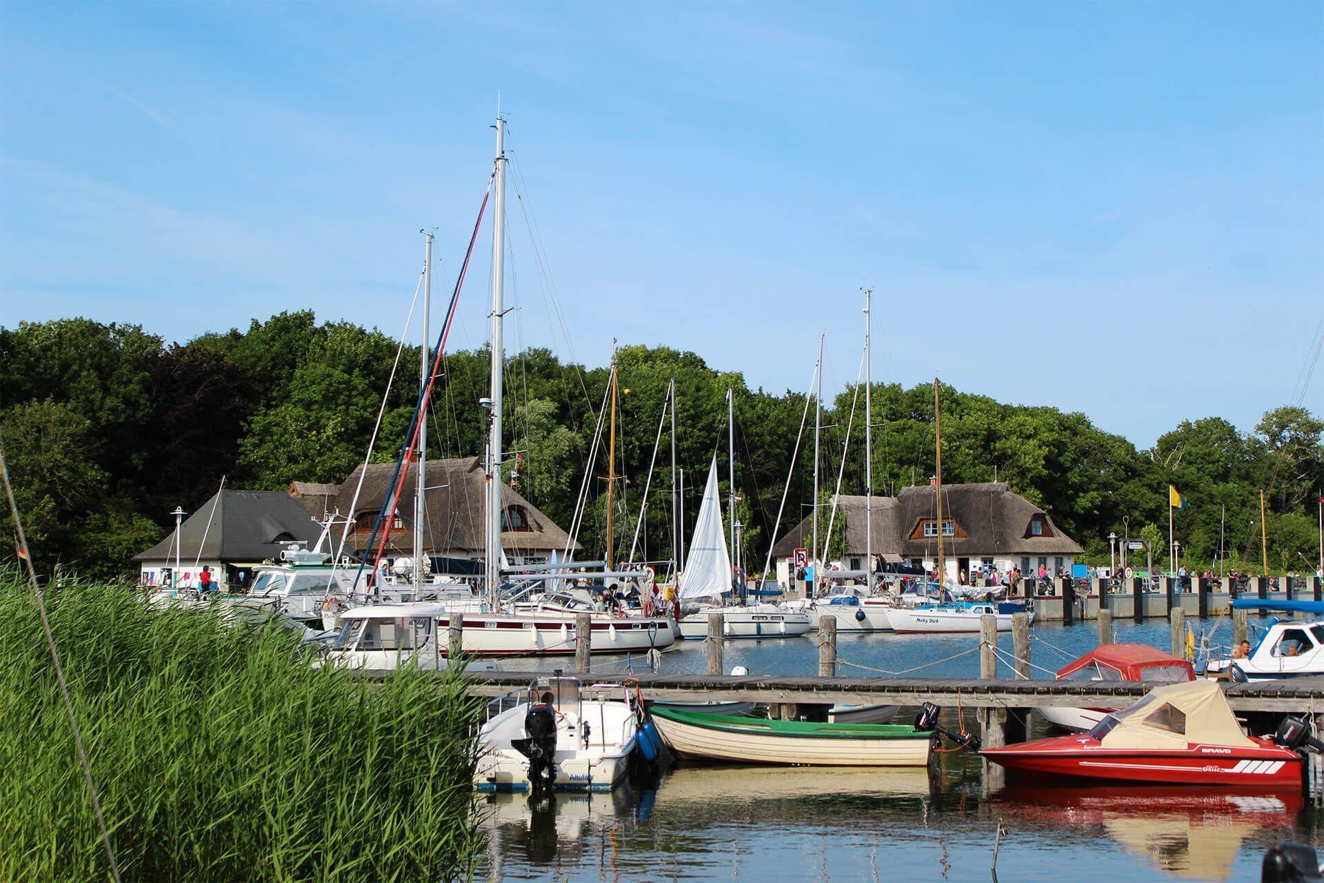 Boote liegen in einem Hafen, im Hintergrund sind Bäume und Gebäude unter einem blauen Himmel zu sehen.