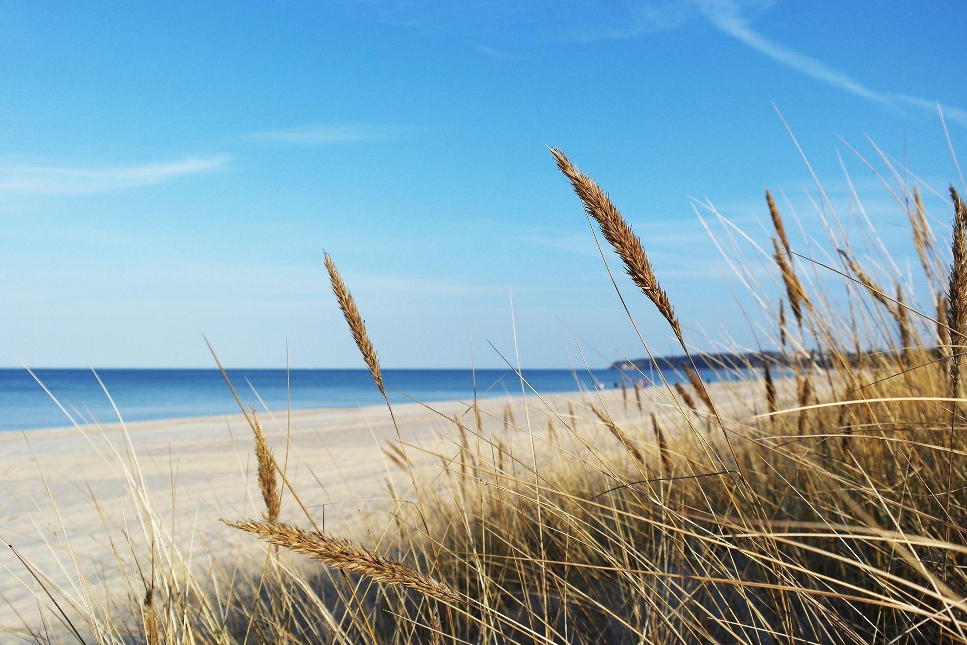 Sandstrand mit blauem Meer und Himmel, trockene Gräser im Vordergrund.