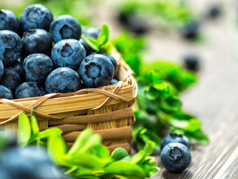 Bio-Bauernhof - Rudolf Schneider - Reichenbach - Kandertal