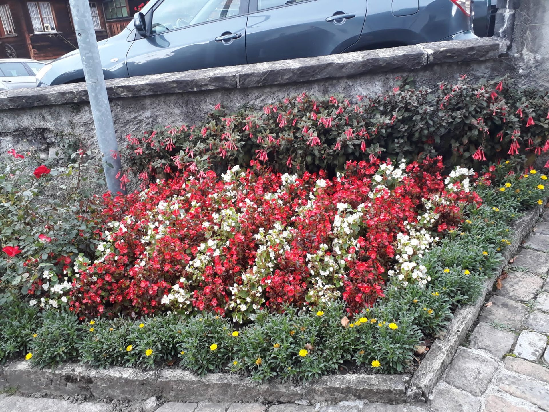 Gartenunterhalt - Rudolf Schneider - Reichenbach - Kandertal