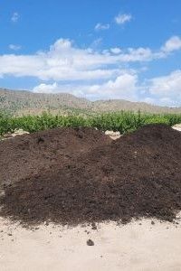 Hay un gran montón de tierra en el medio de un campo.