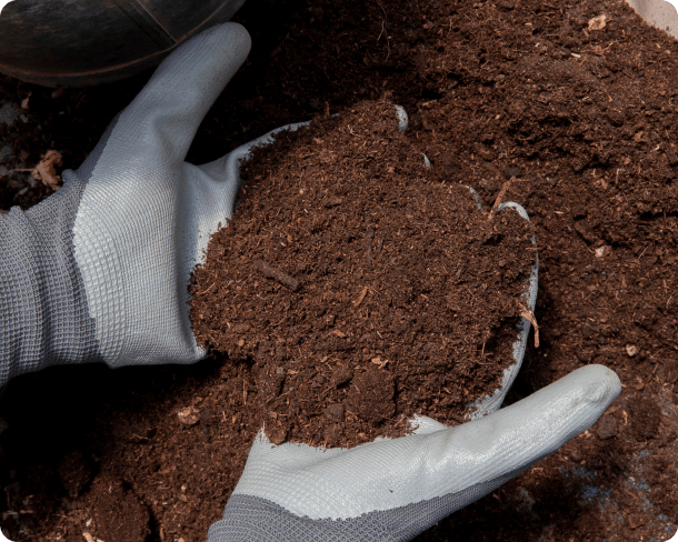 Una persona con guantes sostiene un montón de tierra.