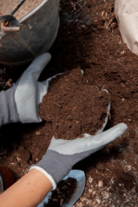 Una persona con guantes sostiene un montón de tierra.
