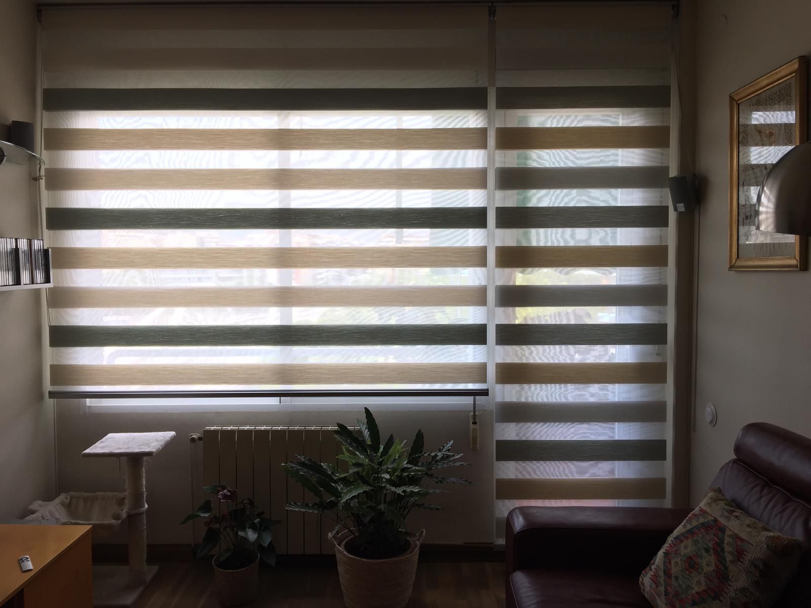 Sala de estar con persianas a rayas, plantas en macetas y un sofá junto a la ventana.