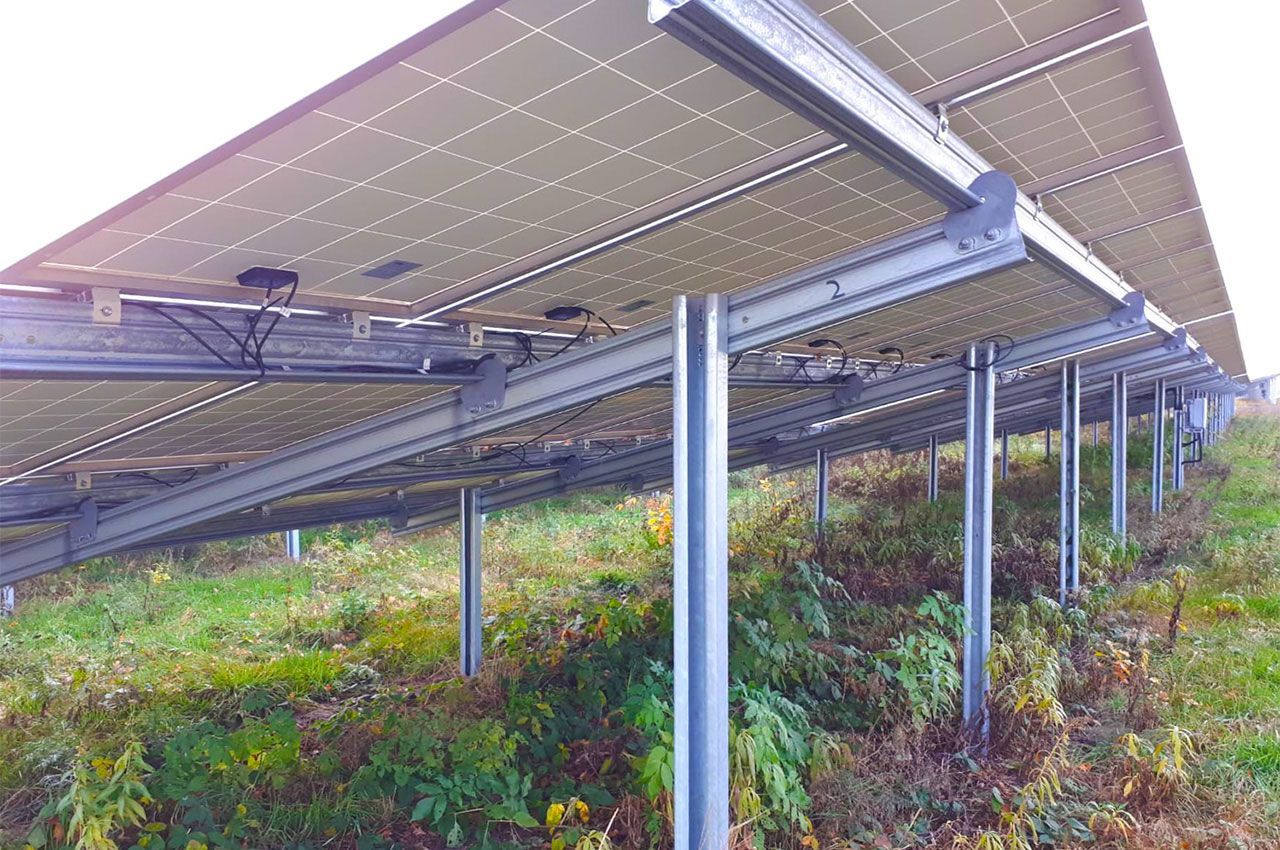 Eine Reihe von Solarmodulen auf einem üppigen grünen Feld.