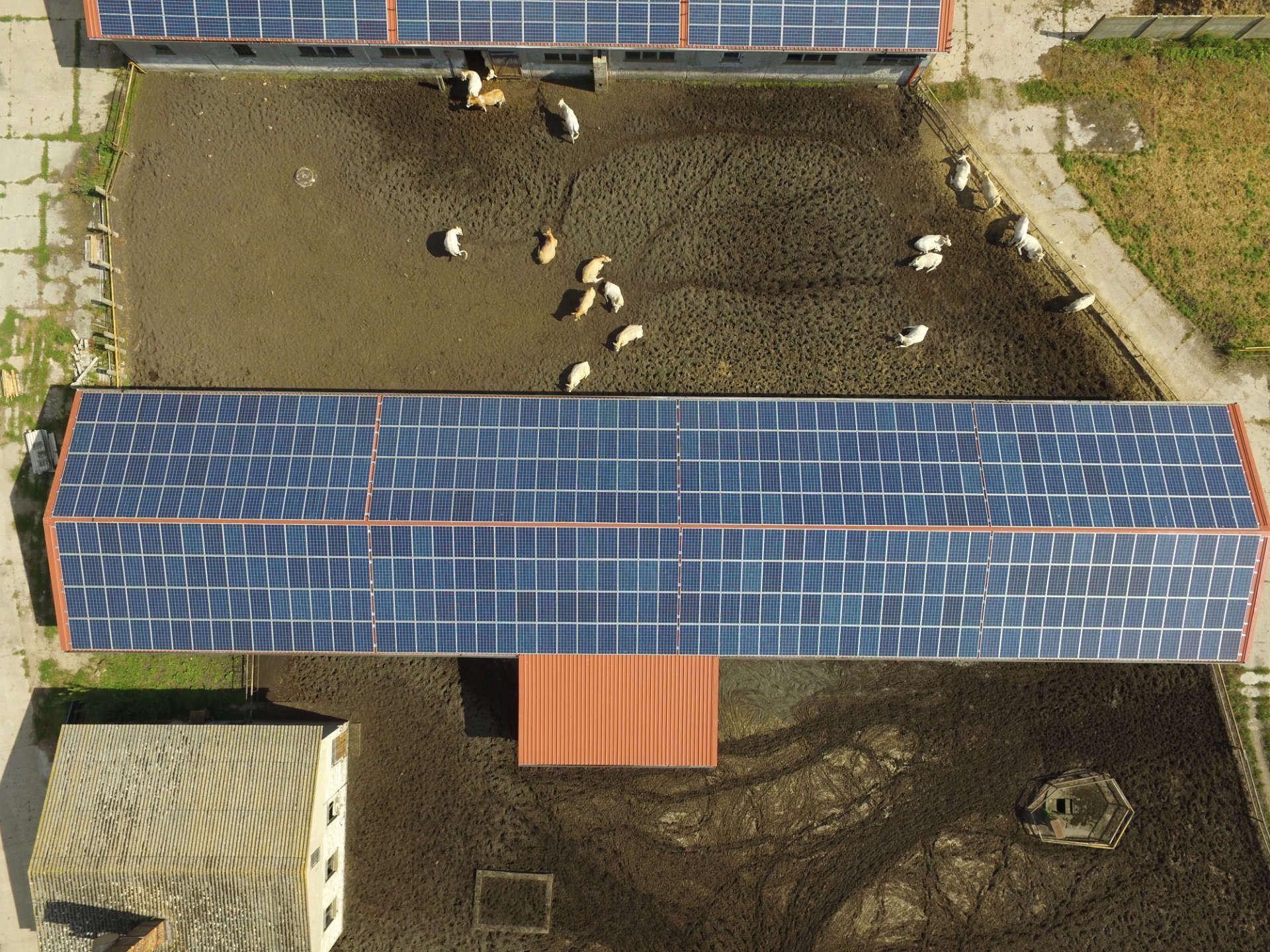 Eine Luftaufnahme einer Farm mit Kühen und Sonnenkollektoren