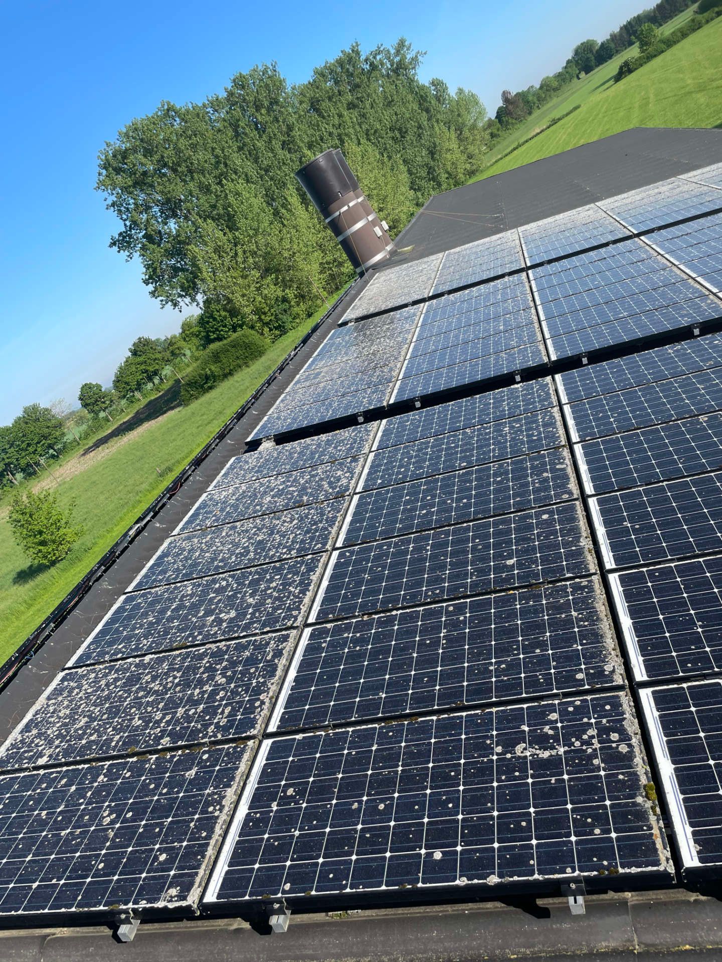 Eine Reihe von Solarmodulen auf einem Dach mit Bäumen im Hintergrund