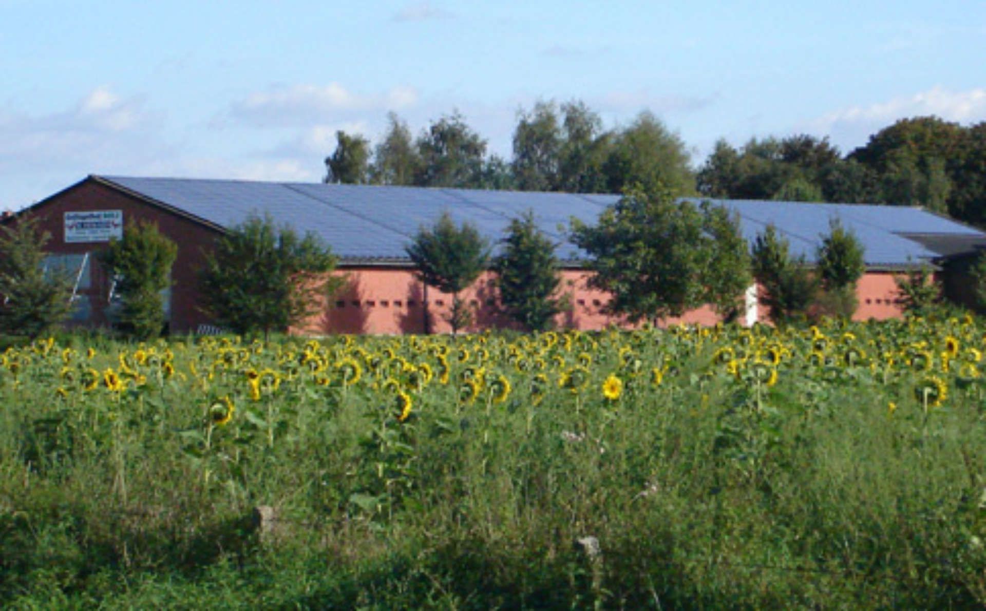 Ein großes Gebäude mit Sonnenkollektoren auf dem Dach ist von einem Sonnenblumenfeld umgeben.