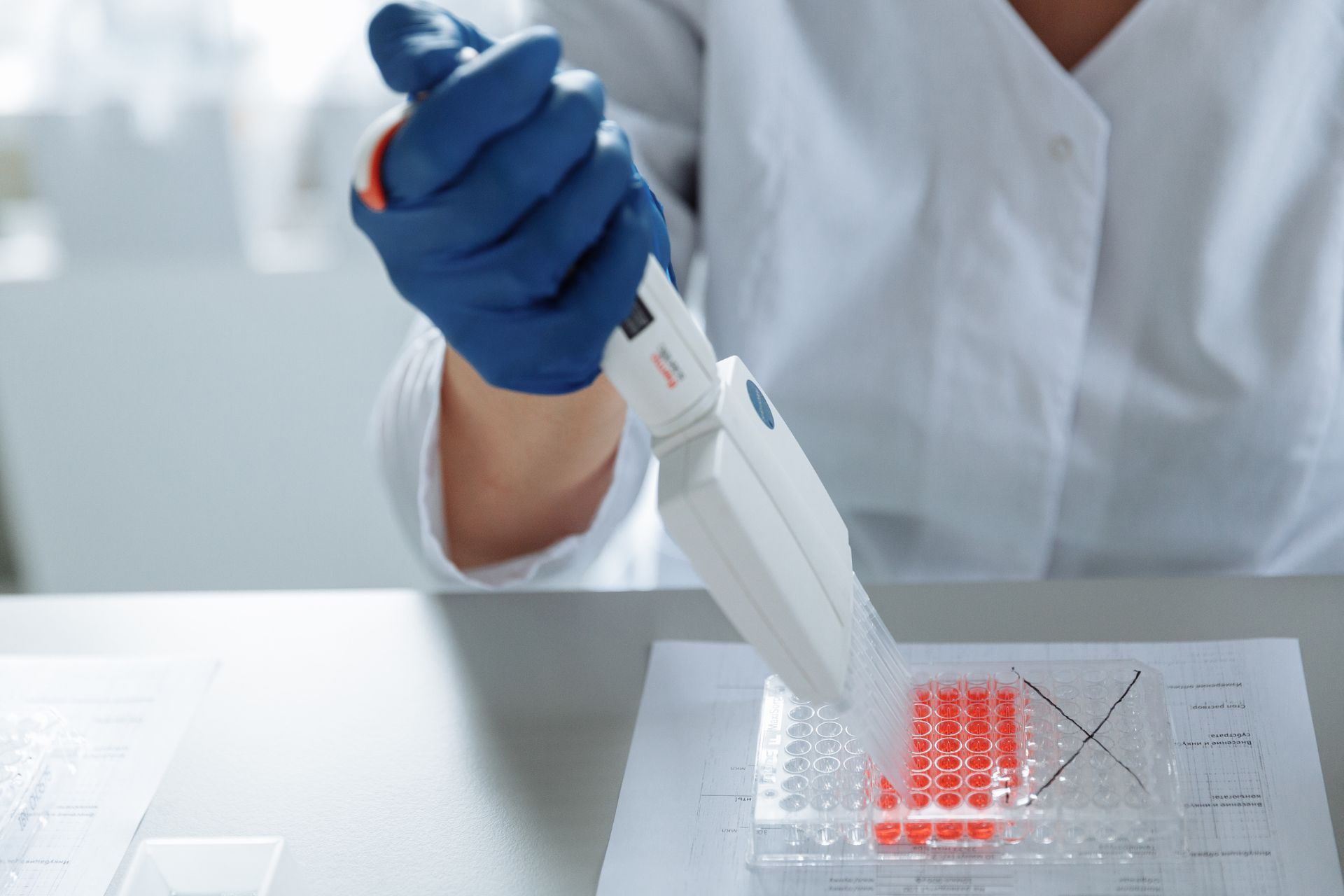 Una persona que usa guantes azules y una bata de laboratorio usa una pipeta para dispensar líquido en una placa multipocillo en un entorno de laboratorio.