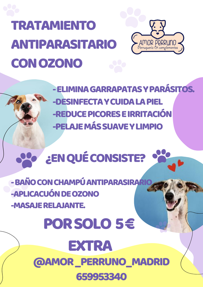 flier tratamiento antiparasitario