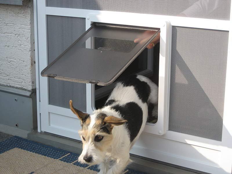 Jäger Fenster & Türen