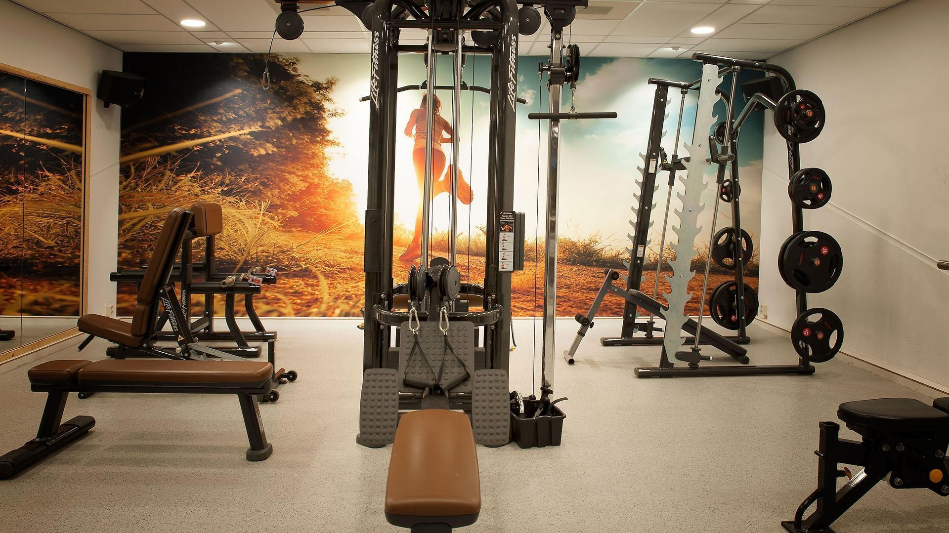 Ein Fitnessstudio mit vielen Geräten und einem Bild an der Wand.
