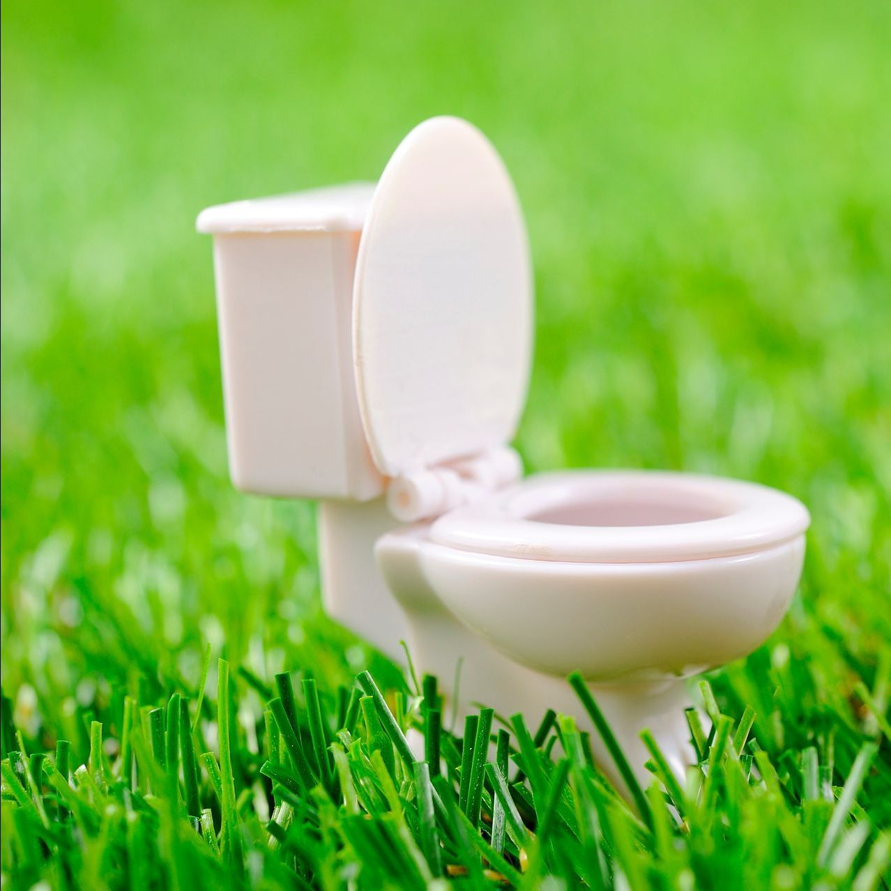 Toilettes miniatures sur du gazon