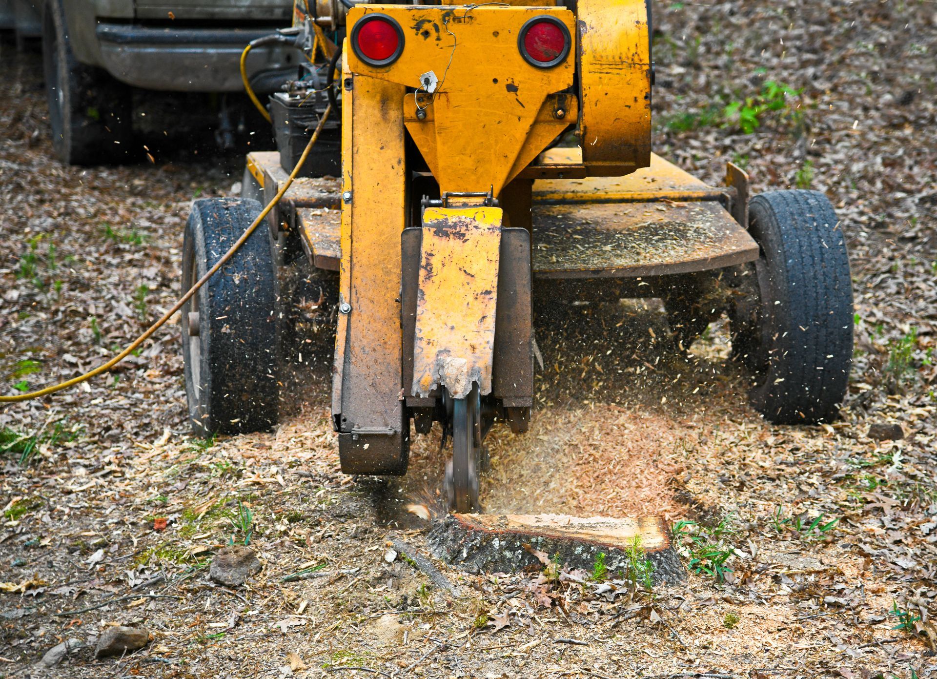 Broyeur de souches jaune broyant une souche d'arbre dans une cour, avec des copeaux de bois volant.