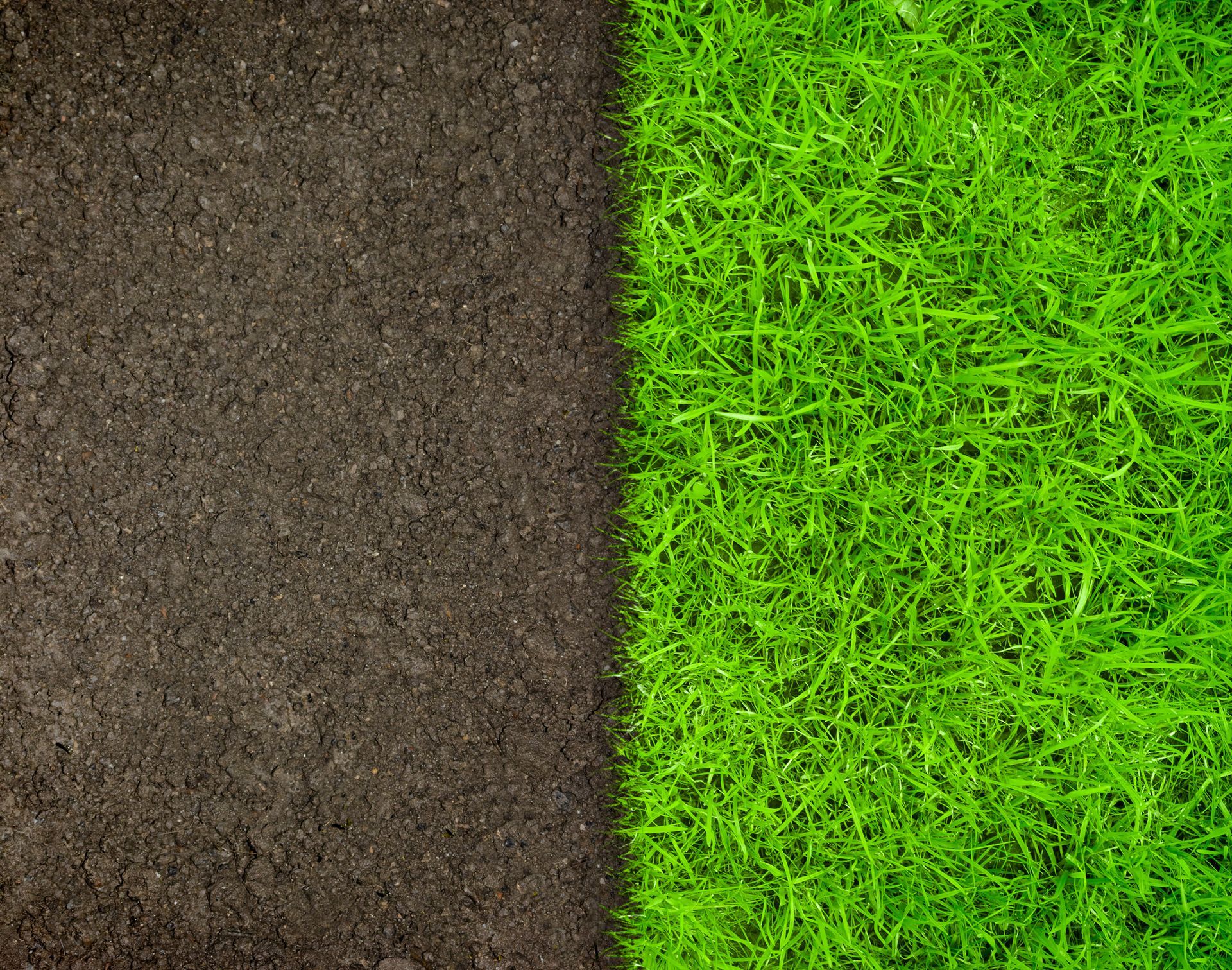 Sol sombre à gauche, herbe vert clair à droite, divisés par une ligne nette.