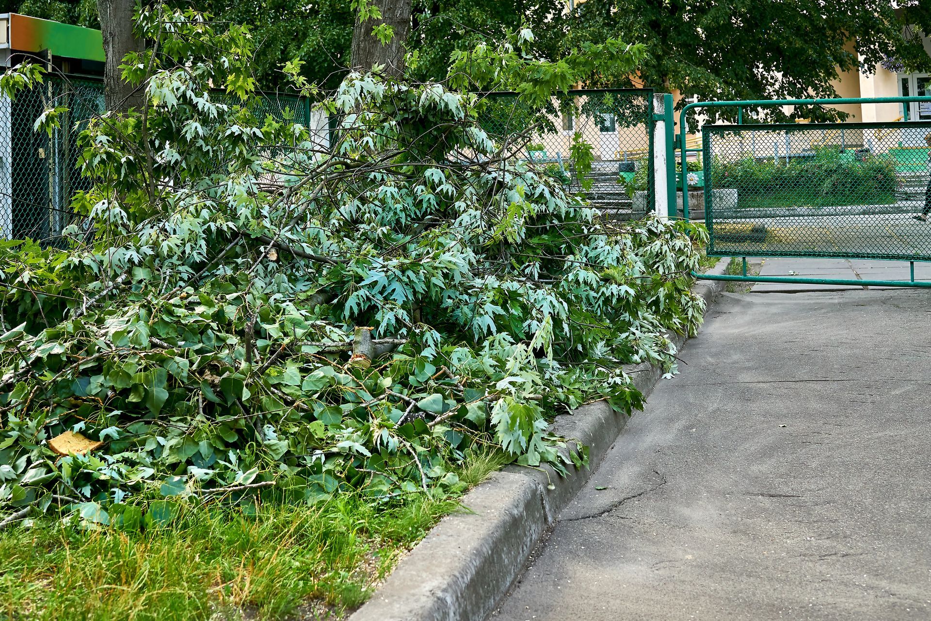 Tas de branches vertes feuillues sur un trottoir près d'une clôture et d'un bâtiment.