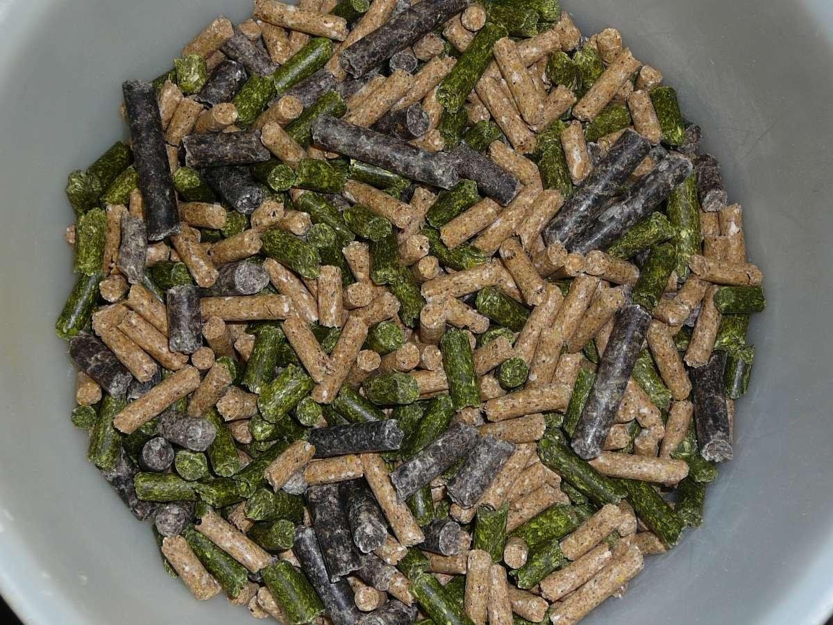 Gamme d'aliments pour animaux, minérale et diététique