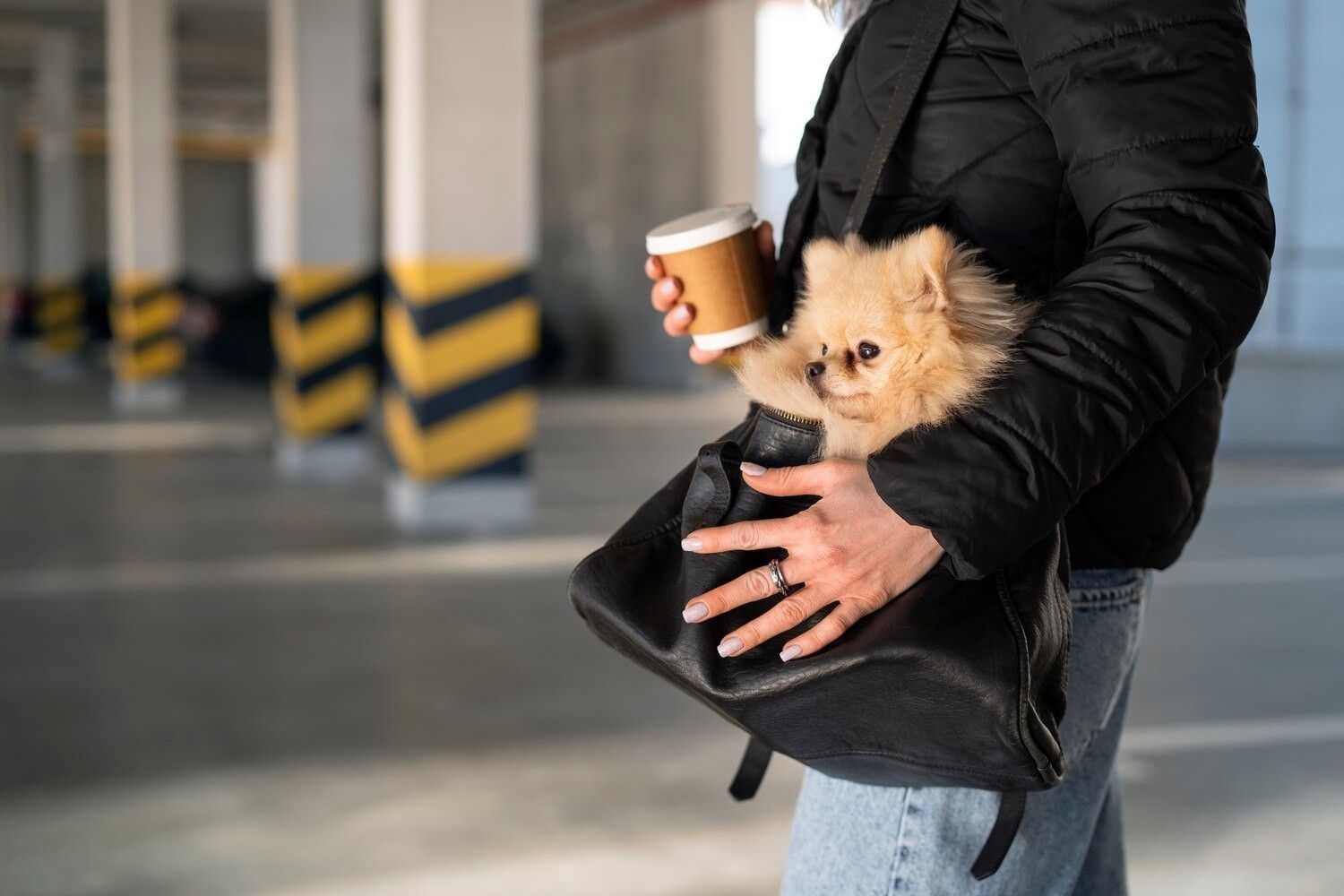 Una persona que lleva una chaqueta negra transporta un perro pequeño