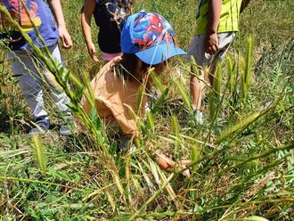 Um grupo de crianças está brincando em um campo de grama alta.