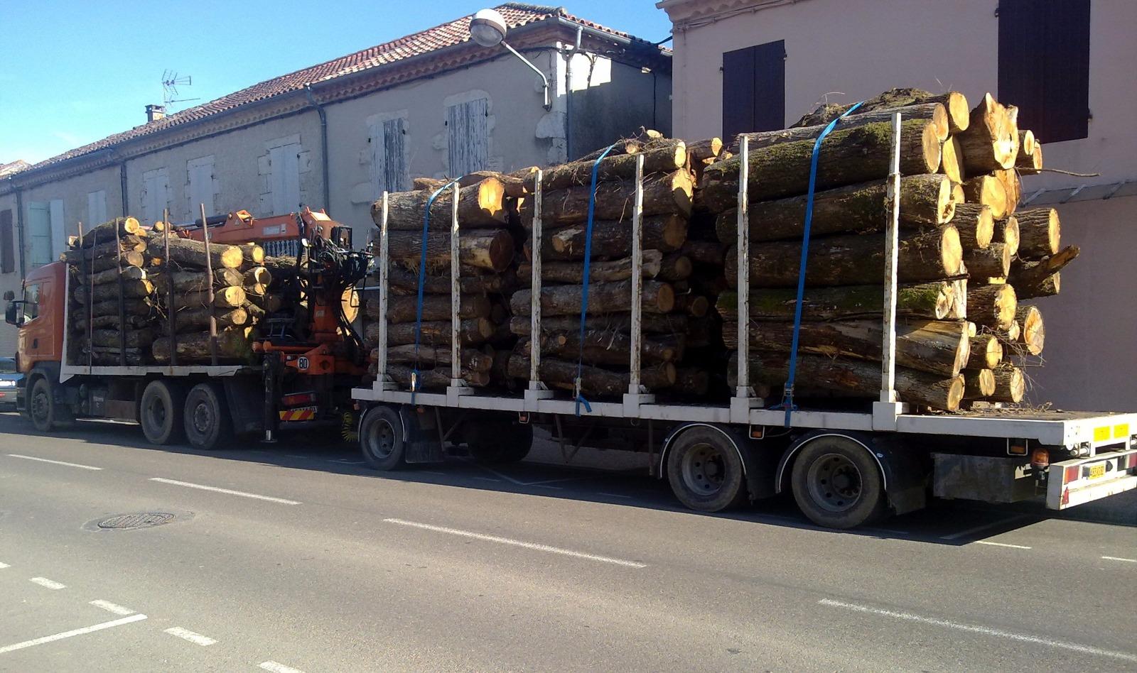 Camion d'approvisionnement de l'exploitation forestière de M. Casamian à Moissac 