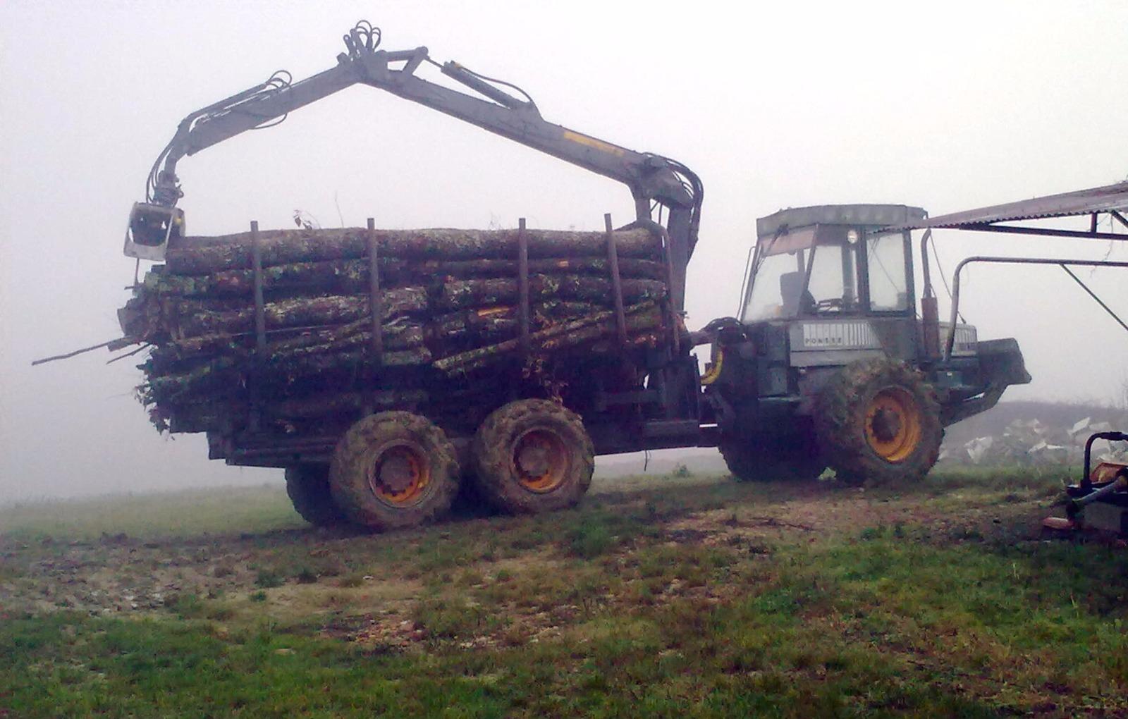 Elagages difficiles avec l'enlèvement de bois près de Montauban
